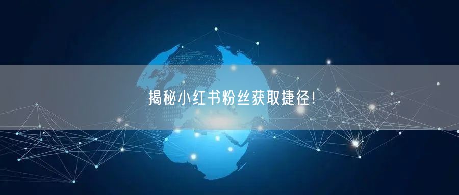 揭秘小红书粉丝获取捷径！