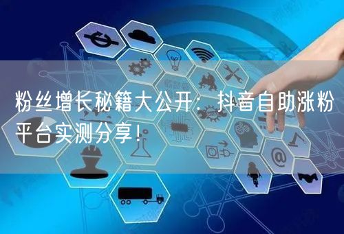 粉丝增长秘籍大公开：抖音自助涨粉平台实测分享！