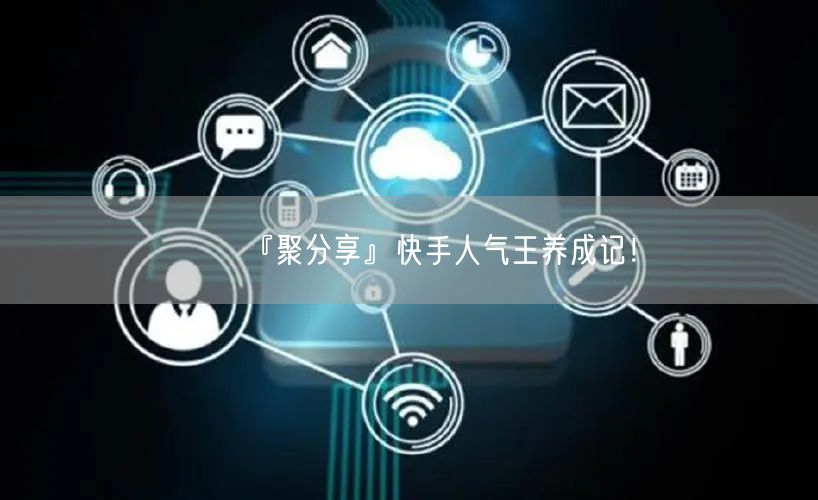 『聚分享』快手人气王养成记！