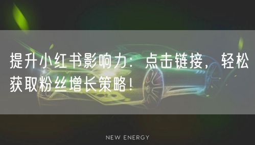 提升小红书影响力：点击链接，轻松获取粉丝增长策略！
