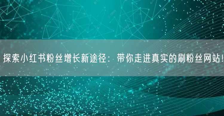 探索小红书粉丝增长新途径：带你走进真实的刷粉丝网站！