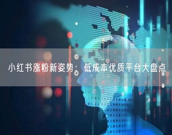 小红书涨粉新姿势：低成本优质平台大盘点
