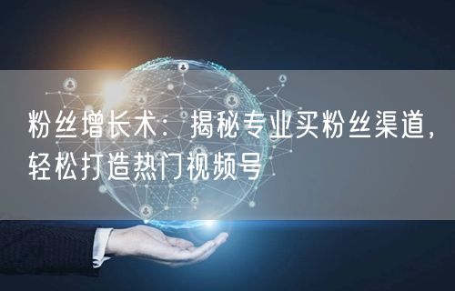 粉丝增长术：揭秘专业买粉丝渠道，轻松打造热门视频号