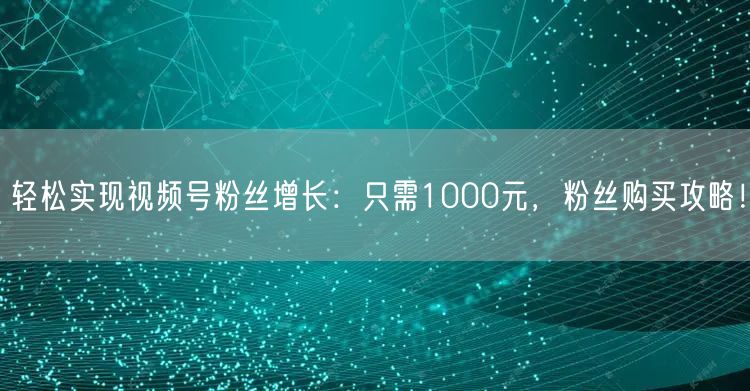轻松实现视频号粉丝增长：只需1000元，粉丝购买攻略！