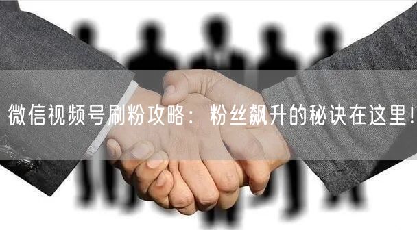 微信视频号刷粉攻略：粉丝飙升的秘诀在这里！
