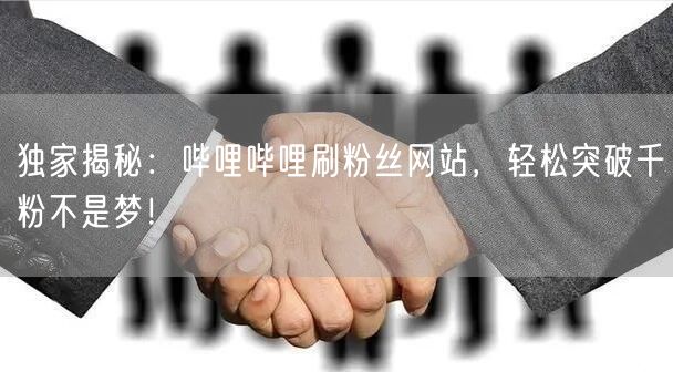 独家揭秘：哔哩哔哩刷粉丝网站，轻松突破千粉不是梦！