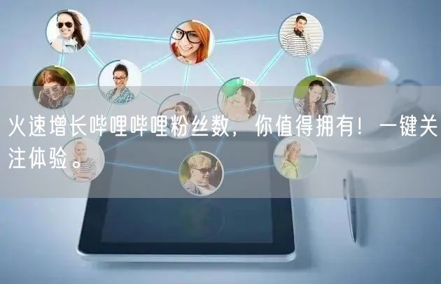 火速增长哔哩哔哩粉丝数，你值得拥有！一键关注体验。