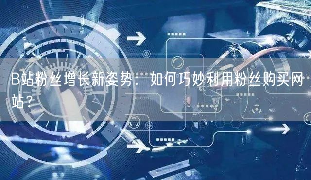 B站粉丝增长新姿势：如何巧妙利用粉丝购买网站？