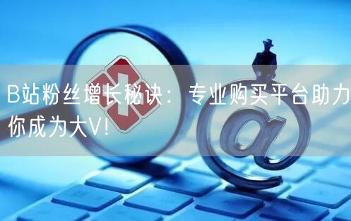 B站粉丝增长秘诀：专业购买平台助力你成为大V！