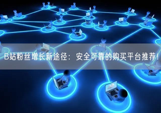 B站粉丝增长新途径：安全可靠的购买平台推荐！