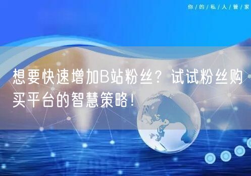 想要快速增加B站粉丝？试试粉丝购买平台的智慧策略！