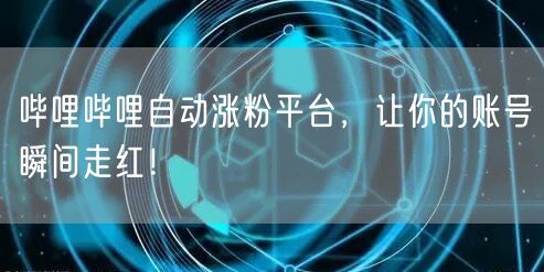 哔哩哔哩自动涨粉平台，让你的账号瞬间走红！