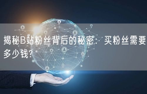 揭秘B站粉丝背后的秘密：买粉丝需要多少钱?