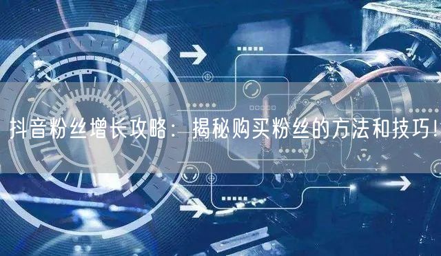 抖音粉丝增长攻略：揭秘购买粉丝的方法和技巧！