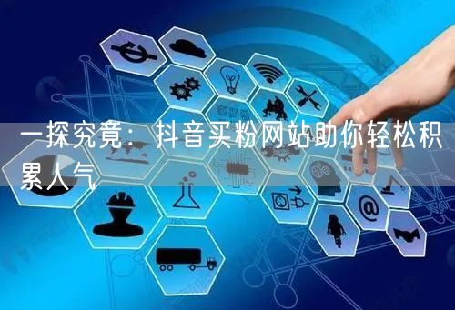 一探究竟：抖音买粉网站助你轻松积累人气
