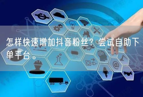 怎样快速增加抖音粉丝？尝试自助下单平台。
