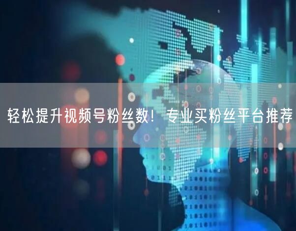 轻松提升视频号粉丝数！专业买粉丝平台推荐
