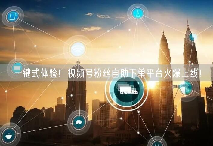 一键式体验!视频号粉丝自助下单平台火爆上线!