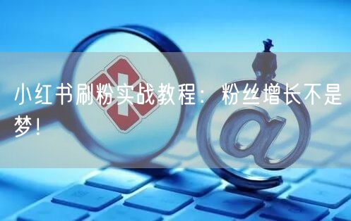 小红书刷粉实战教程：粉丝增长不是梦！