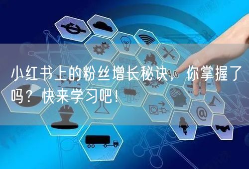 小红书上的粉丝增长秘诀，你掌握了吗？快来学习吧！