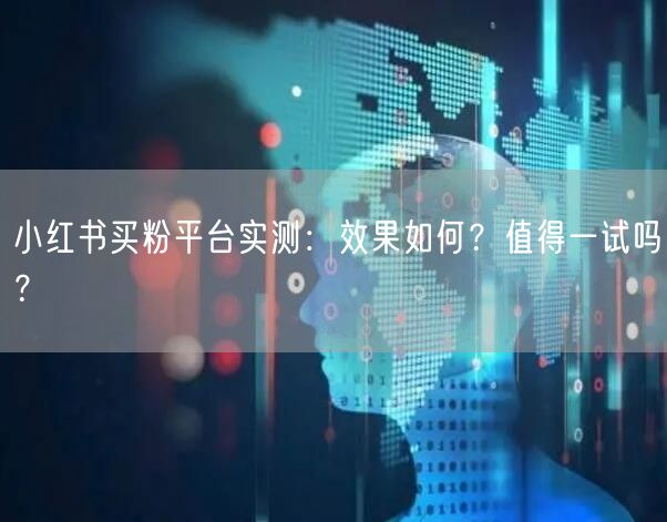 小红书买粉平台实测：效果如何？值得一试吗？