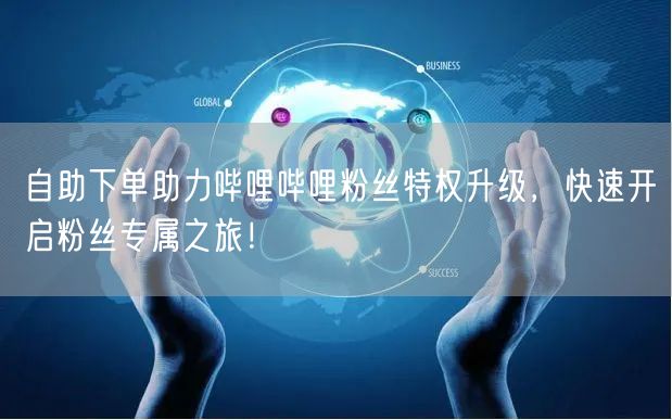 自助下单助力哔哩哔哩粉丝特权升级，快速开启粉丝专属之旅！