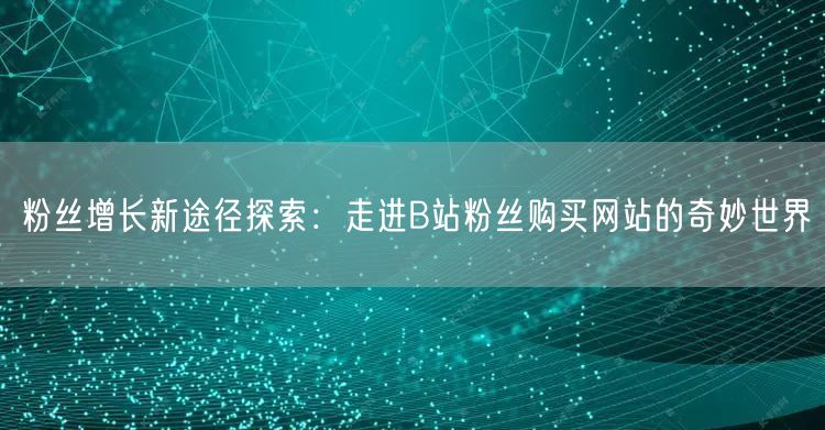 粉丝增长新途径探索：走进B站粉丝购买网站的奇妙世界