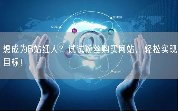 想成为B站红人？试试粉丝购买网站，轻松实现目标！