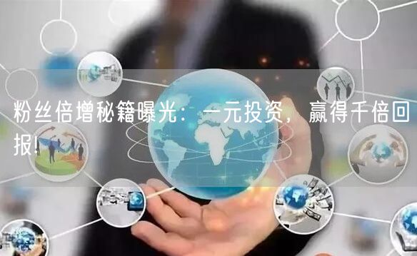 粉丝倍增秘籍曝光：一元投资，赢得千倍回报!