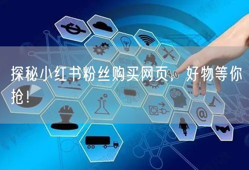探秘小红书粉丝购买网页，好物等你抢！
