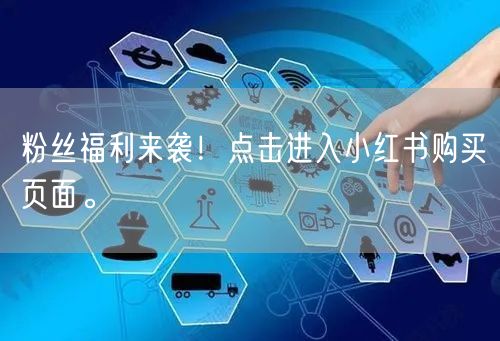 粉丝福利来袭！点击进入小红书购买页面。