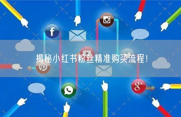 揭秘小红书粉丝精准购买流程！