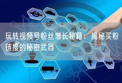 玩转视频号粉丝增长秘籍：揭秘买粉链接的秘密武器