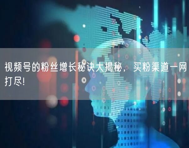 视频号的粉丝增长秘诀大揭秘，买粉渠道一网打尽!