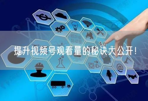 提升视频号观看量的秘诀大公开！