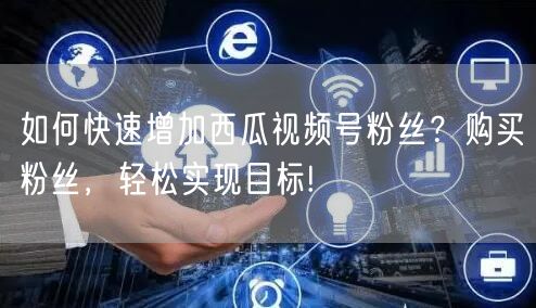如何快速增加西瓜视频号粉丝？购买粉丝，轻松实现目标!