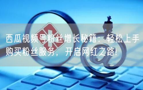 西瓜视频号粉丝增长秘籍：轻松上手购买粉丝服务，开启网红之路!