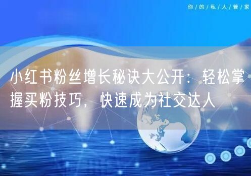 小红书粉丝增长秘诀大公开：轻松掌握买粉技巧，快速成为社交达人