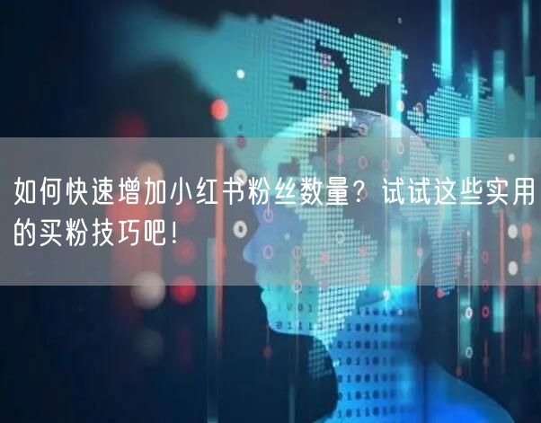 如何快速增加小红书粉丝数量？试试这些实用的买粉技巧吧！