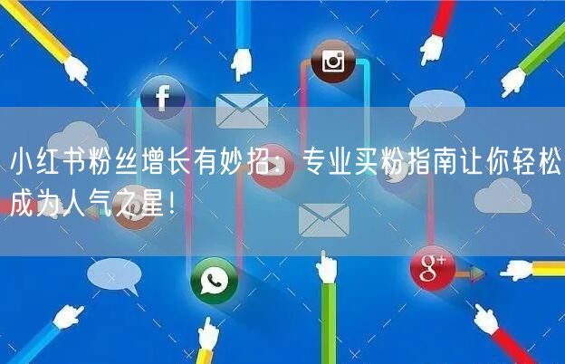 小红书粉丝增长有妙招：专业买粉指南让你轻松成为人气之星！