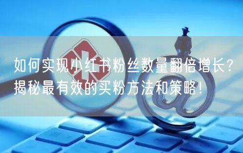 如何实现小红书粉丝数量翻倍增长？揭秘最有效的买粉方法和策略！