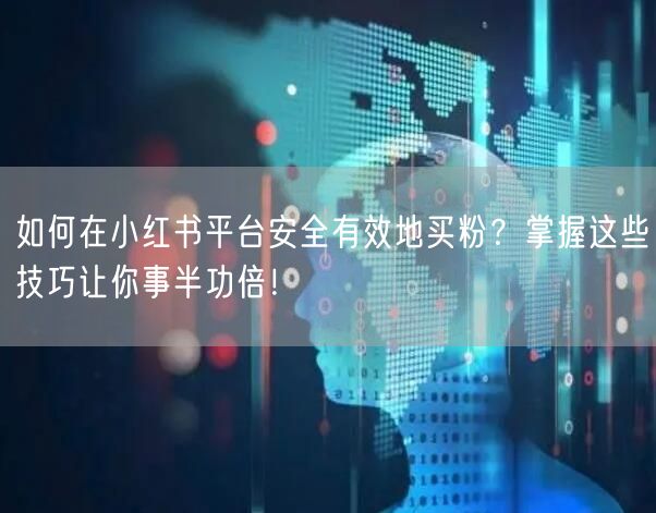 如何在小红书平台安全有效地买粉？掌握这些技巧让你事半功倍！