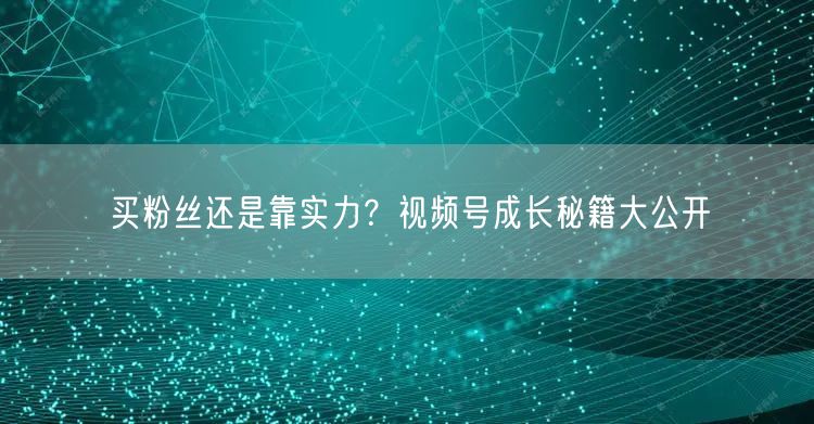 买粉丝还是靠实力？视频号成长秘籍大公开