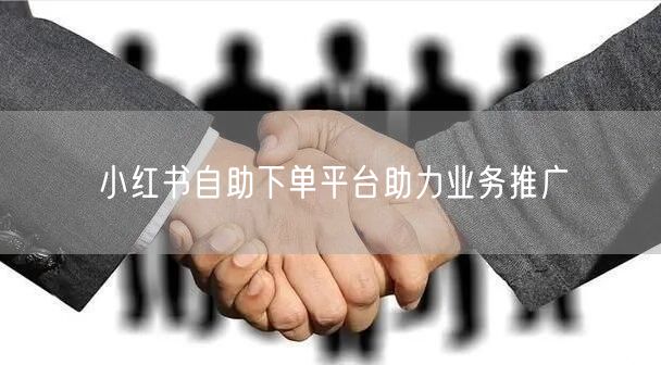 小红书自助下单平台助力业务推广