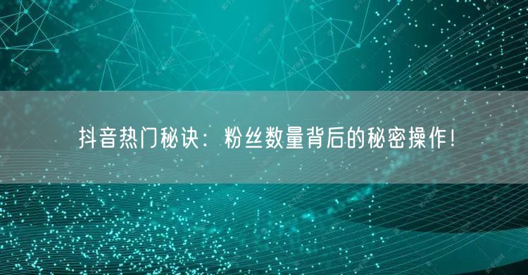 抖音热门秘诀：粉丝数量背后的秘密操作！