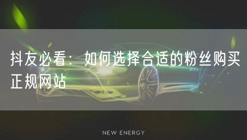 抖友必看：如何选择合适的粉丝购买正规网站