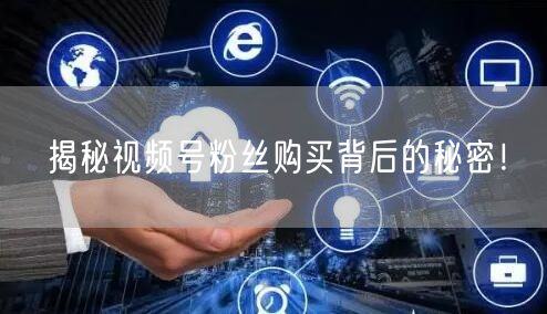 揭秘视频号粉丝购买背后的秘密！