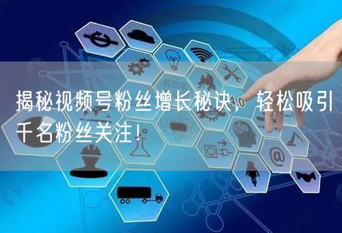 揭秘视频号粉丝增长秘诀，轻松吸引千名粉丝关注！