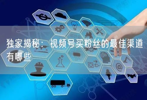 独家揭秘：视频号买粉丝的最佳渠道有哪些