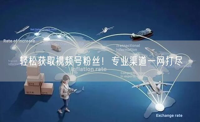 轻松获取视频号粉丝！专业渠道一网打尽
